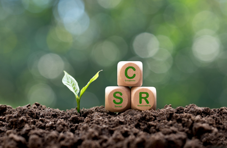 Wooden CSR blocks stacked in soil beside a growing plant, symbolizing Corporate Social Responsibility, sustainability, environmental stewardship, and Itron’s commitment to social impact.